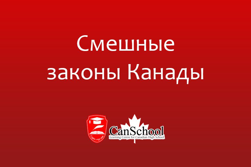 zakony-kanady Смешные законы Канады
