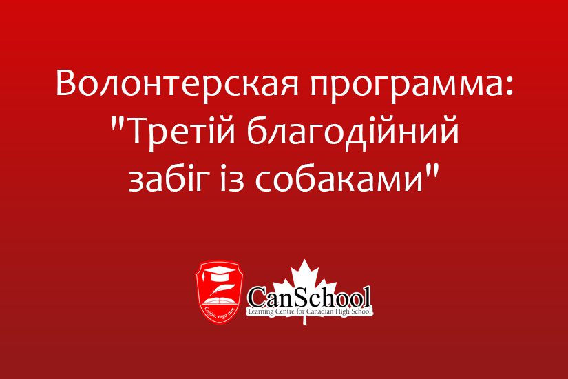 tretiy-zabig-s-sobakami