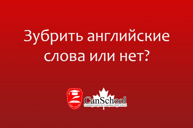 Зубрить английские слова или нет